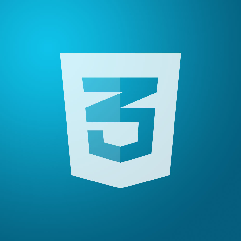 CSS icon